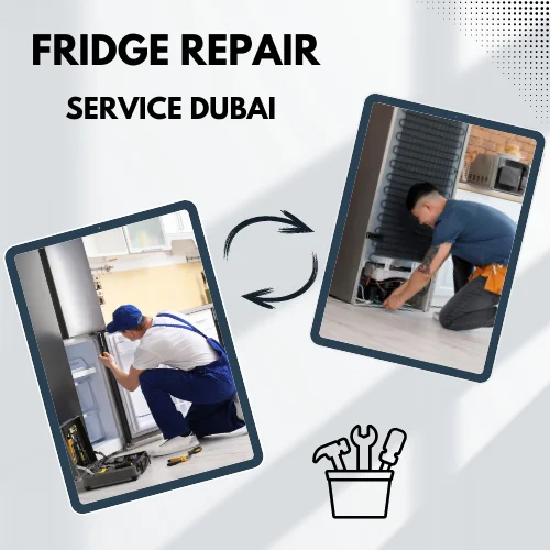 Fridge Repair Service